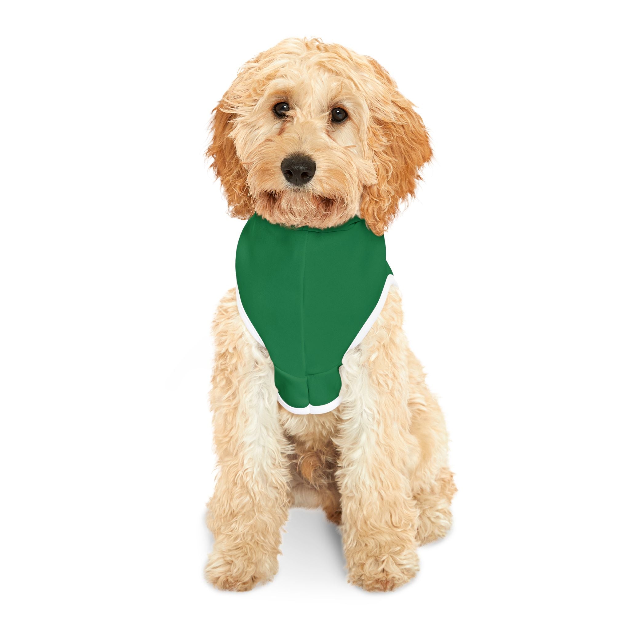 Pet Hoodie — "It's All About the 'Treats' Baby" Green Dog Hoodie