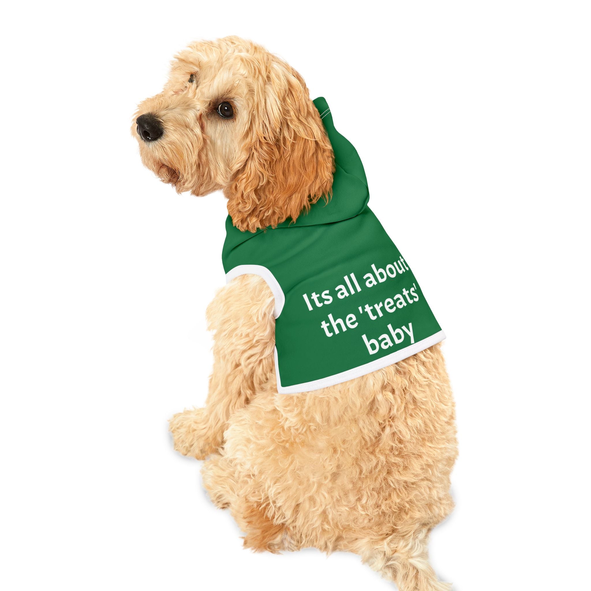 Pet Hoodie — "It's All About the 'Treats' Baby" Green Dog Hoodie